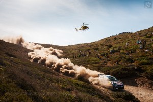 DSC_7991