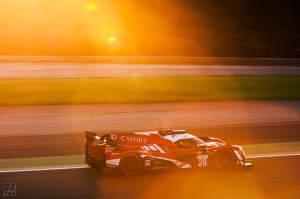 ELMS_Test_Carbone (14)