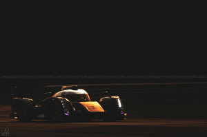 _DSC0099____levels_edit_1260