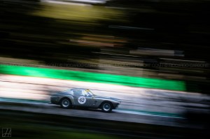 MonzaHist_019_614Carbone